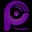 Pearl Polymers Ltd. logo