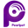 Pearl Polymers Ltd. logo