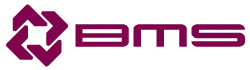 Blow Molding System S.L. logo